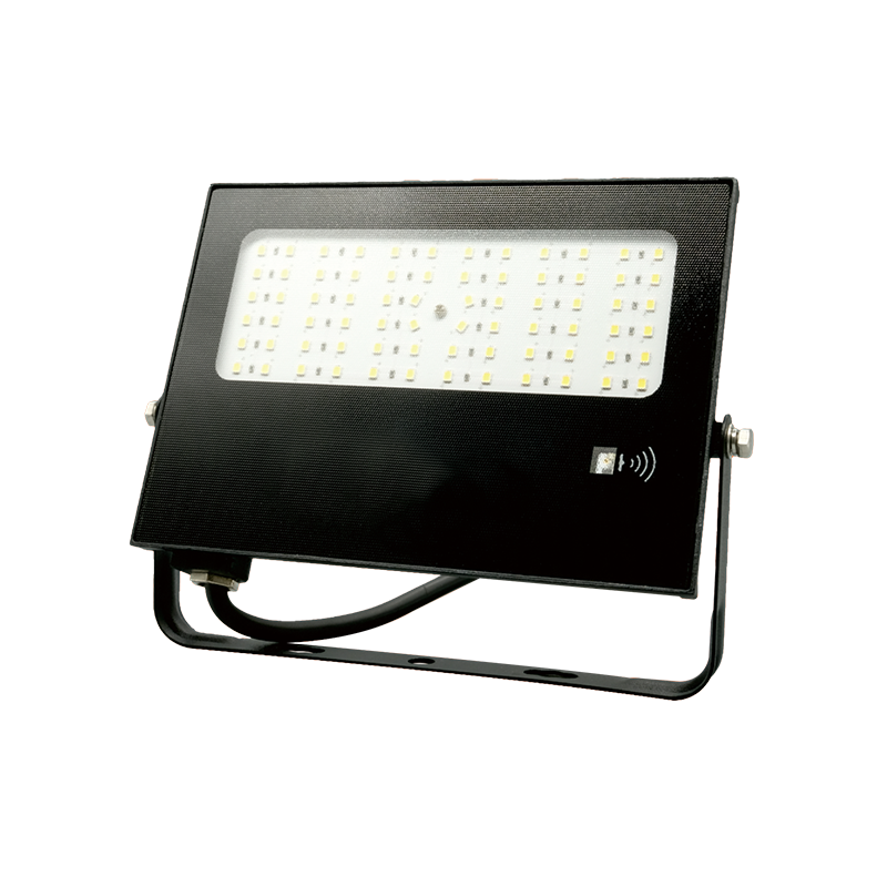 FLOOD LIGHT WITH SENSOR